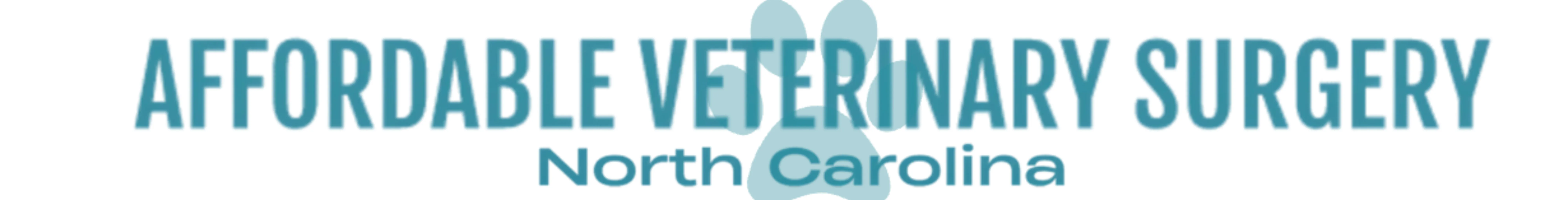 Affordable Veterinary Surgery