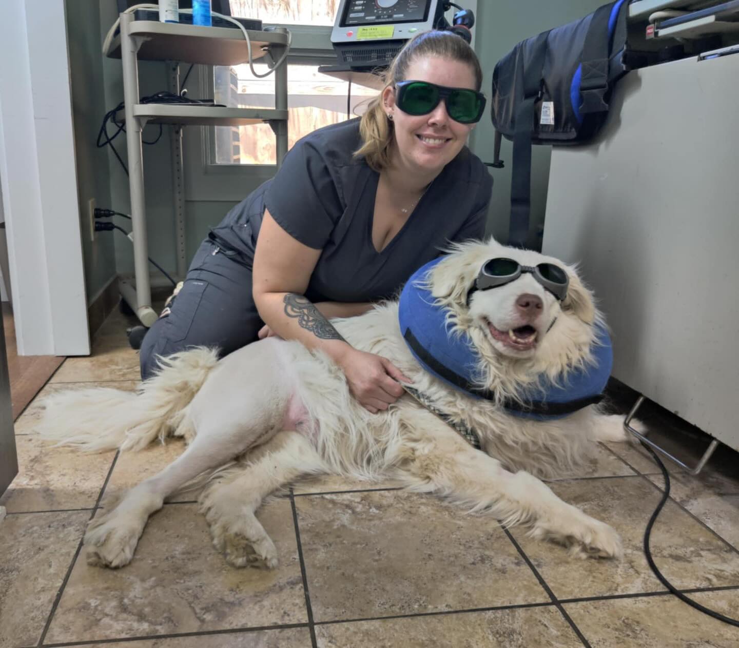 Pet Surgery in Aberdeen, NC